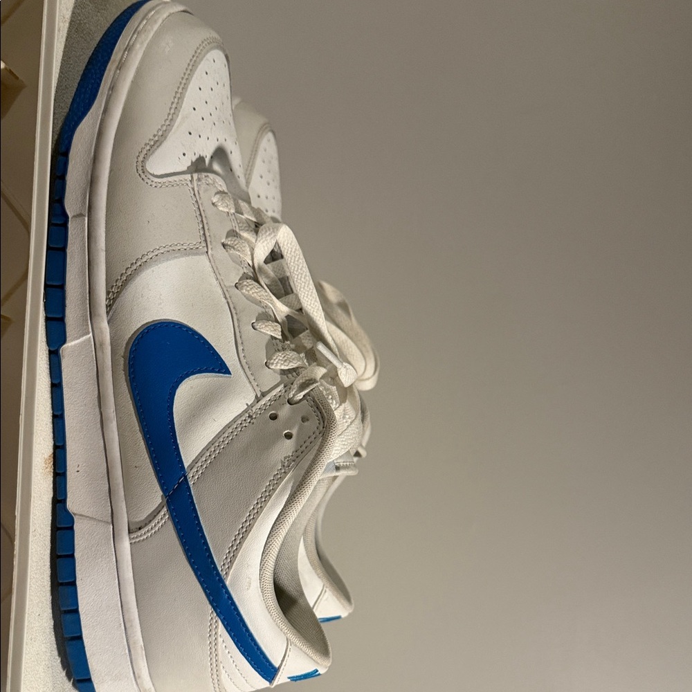 White and Blue Sneakers Dunks